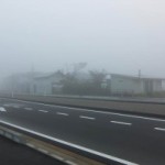 濃霧の朝です。