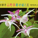 西村孝子山野草寄せ植え展ハガキ1